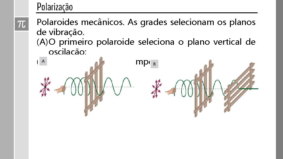 Polaroides mecânicos. As grades selecionam os planos de vibração. (A) O primeiro polaroide seleciona