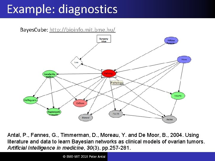 Example: diagnostics Bayes. Cube: http: //bioinfo. mit. bme. hu/ Antal, P. , Fannes, G.