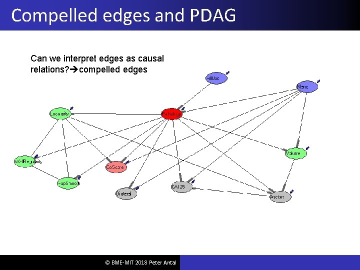 Compelled edges and PDAG Can we interpret edges as causal relations? compelled edges ©