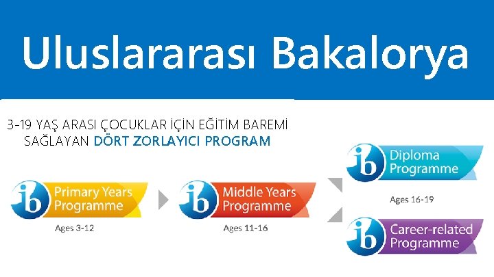 Uluslararası Bakalorya 3 -19 YAŞ ARASI ÇOCUKLAR İÇİN EĞİTİM BAREMİ SAĞLAYAN DÖRT ZORLAYICI PROGRAM