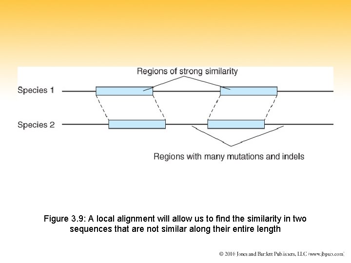 Figure 3. 9: A local alignment will allow us to find the similarity in