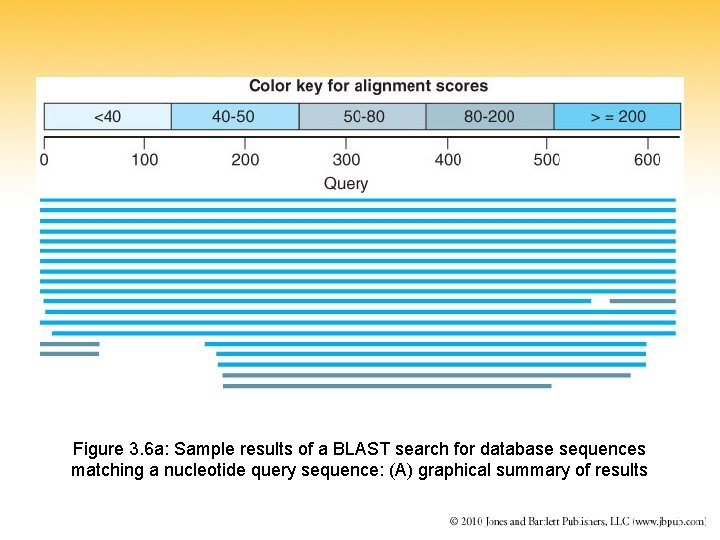 Figure 3. 6 a: Sample results of a BLAST search for database sequences matching