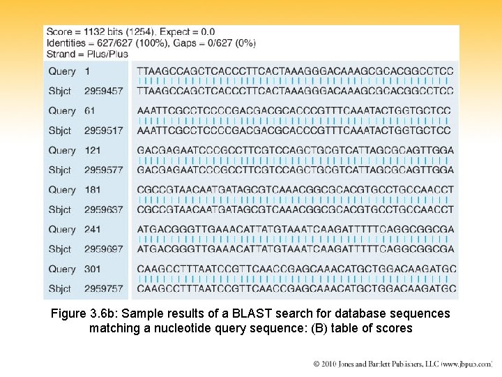 Figure 3. 6 b: Sample results of a BLAST search for database sequences matching
