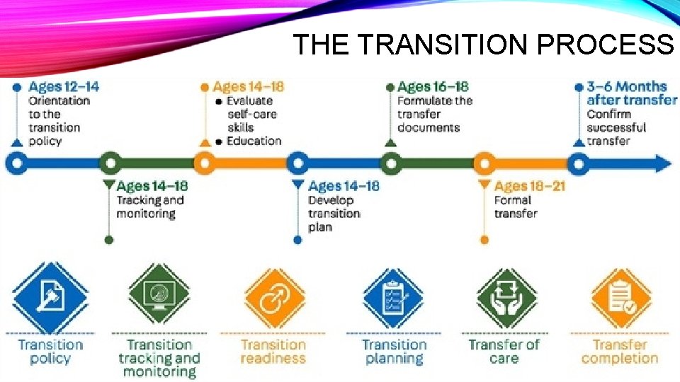 THE TRANSITION PROCESS 