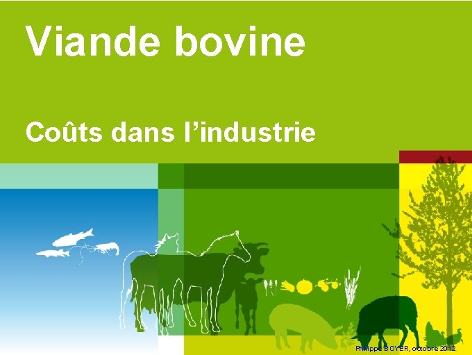 Viande bovine Coûts dans l’industrie Philippe BOYER, octobre 2012 