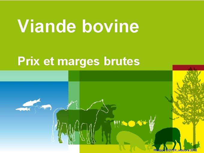 Viande bovine Prix et marges brutes Philippe BOYER, octobre 2012 