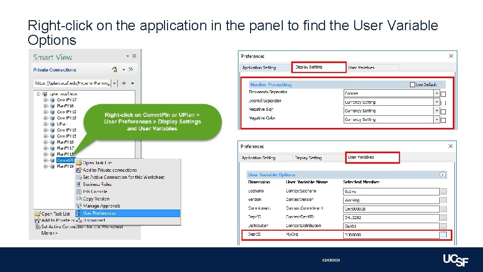 Right-click on the application in the panel to find the User Variable Options 02/03/2020
