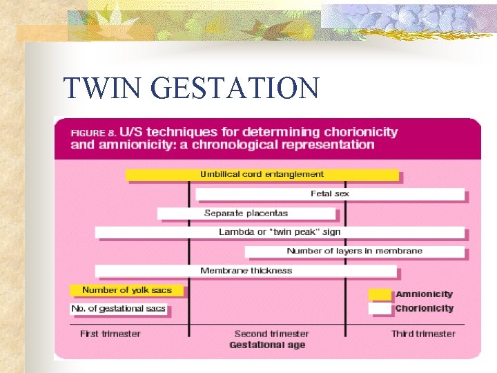 TWIN GESTATION 