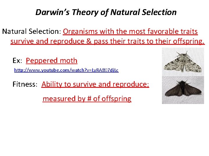 Darwin’s Theory of Natural Selection: Organisms with the most favorable traits survive and reproduce