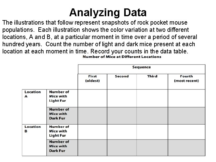 Analyzing Data The illustrations that follow represent snapshots of rock pocket mouse populations. Each