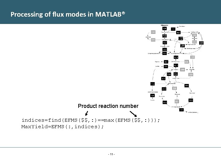 Processing of flux modes in MATLAB® Product reaction number indices=find(EFMS($$, : )==max(EFMS($$, : )));
