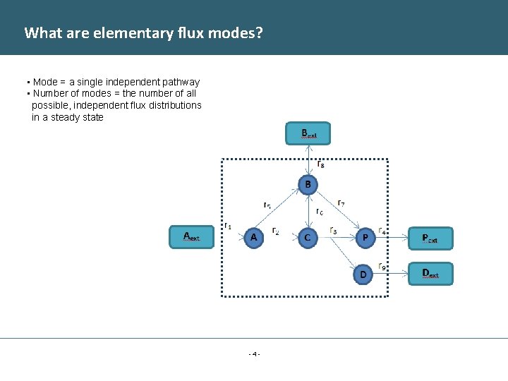 What are elementary flux modes? • Mode = a single independent pathway • Number