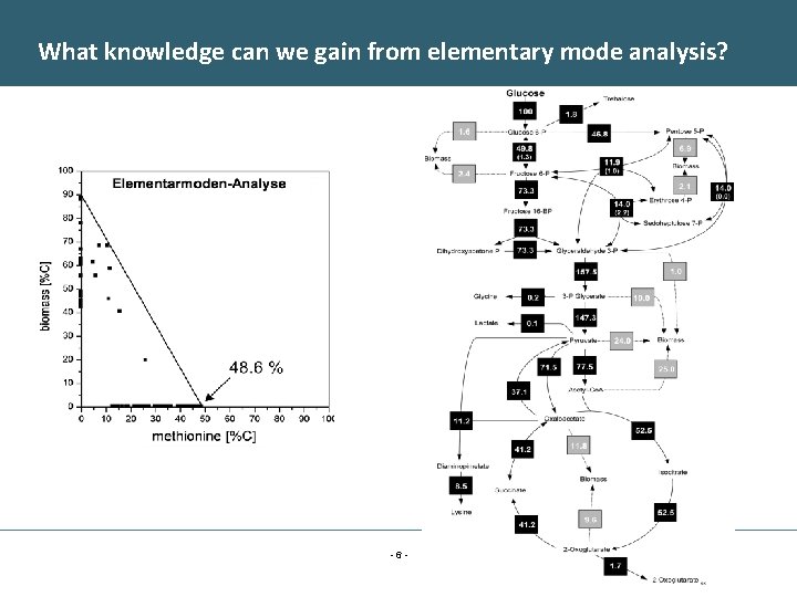 What knowledge can we gain from elementary mode analysis? -6 - 