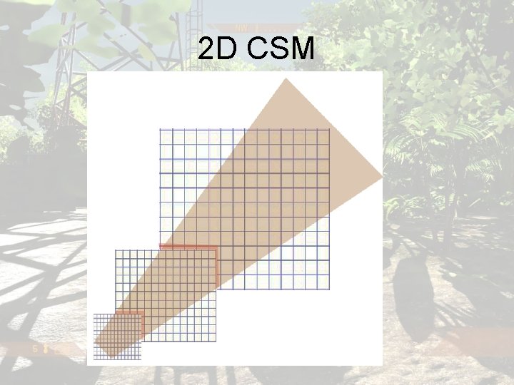 2 D CSM 