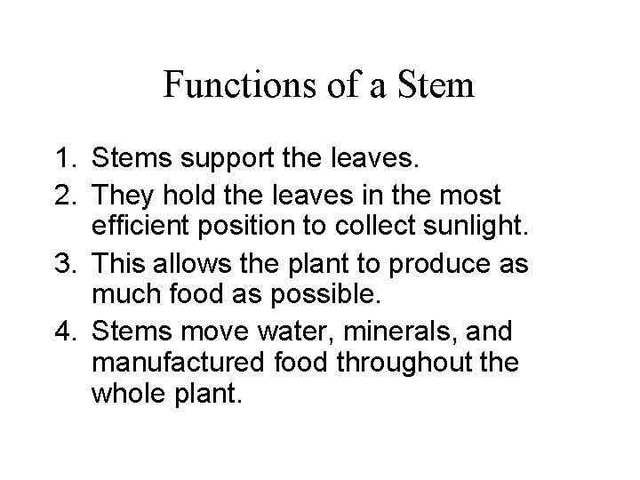 Functions of a Stem 1. Stems support the leaves. 2. They hold the leaves