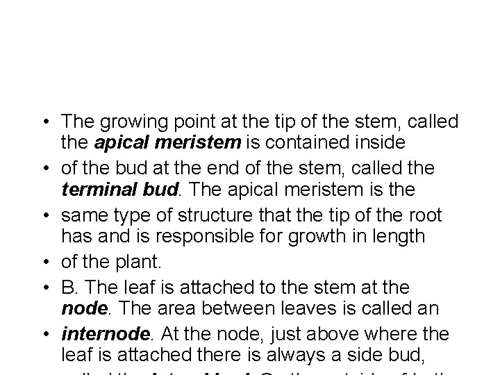  • The growing point at the tip of the stem, called the apical