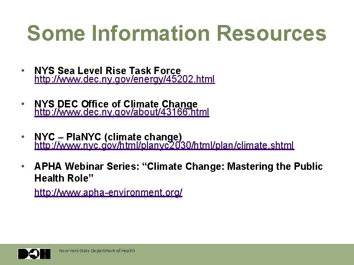 Some Information Resources • NYS Sea Level Rise Task Force http: //www. dec. ny.