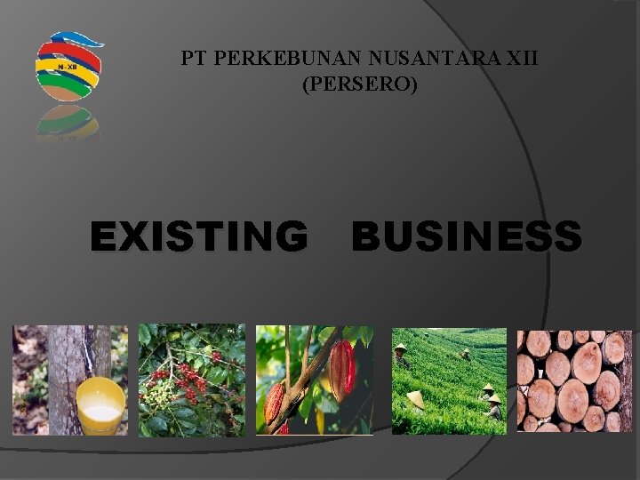 PT PERKEBUNAN NUSANTARA XII (PERSERO) EXISTING BUSINESS 