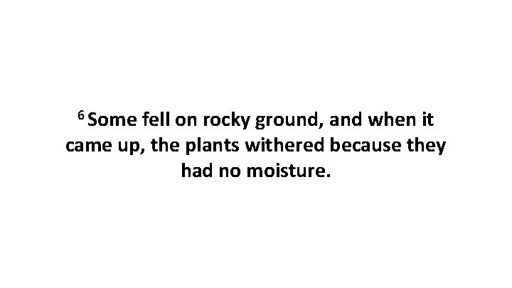 6 Some fell on rocky ground, and when it came up, the plants withered