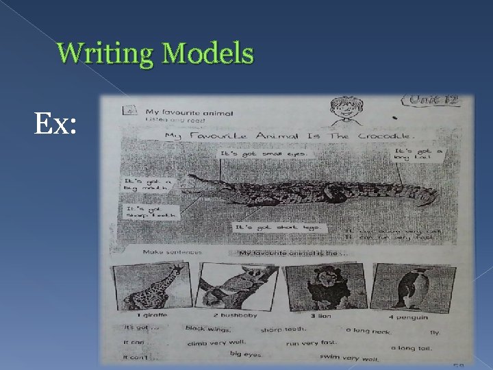 Writing Models Ex: 