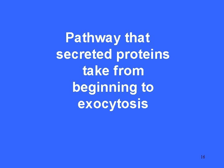 II 15 Pathway that secreted proteins take from beginning to exocytosis 16 