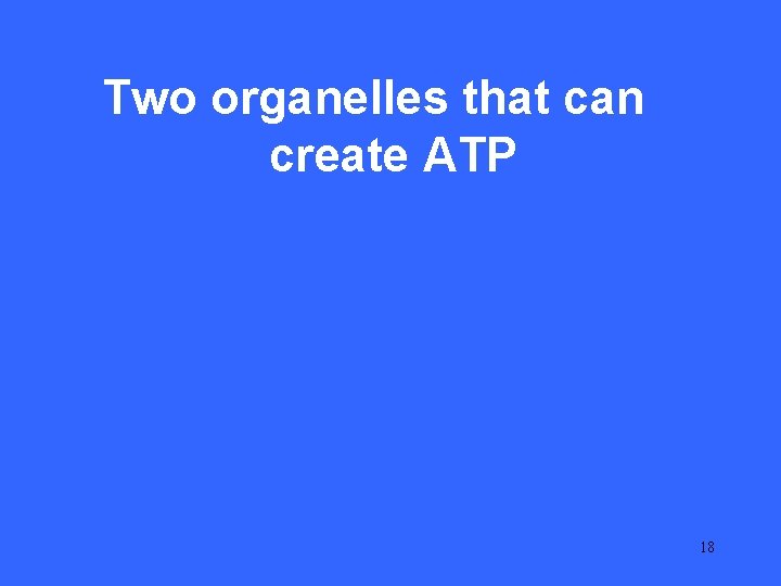 II Two 20 organelles that can create ATP 18 