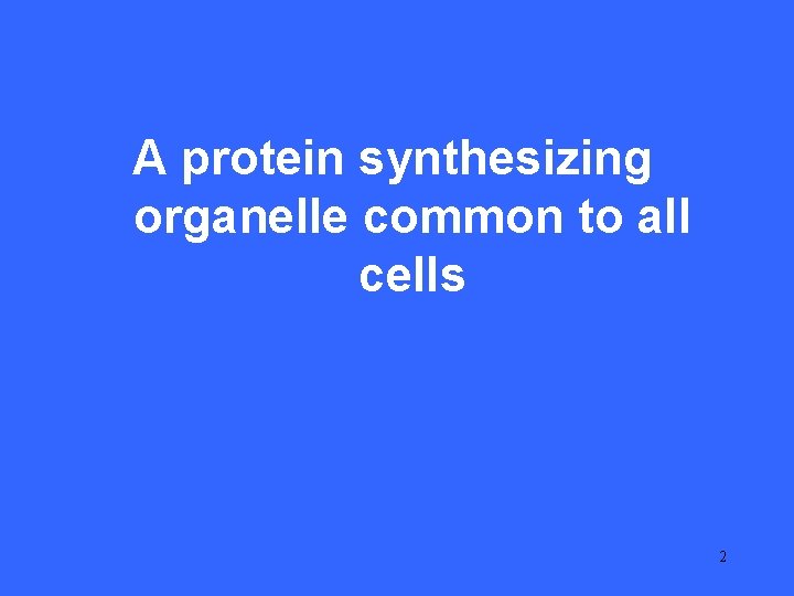 I 5 A protein synthesizing organelle common to all cells 2 