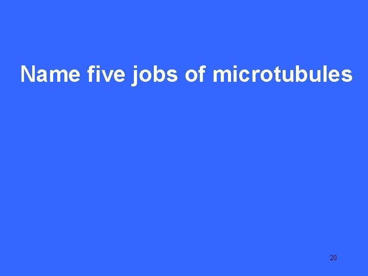 II 25 Name five jobs of microtubules 20 
