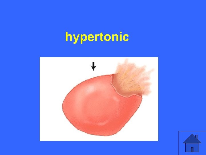 IV 5 a hypertonic 33 