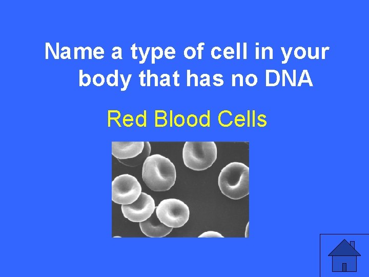 VName 10 a a type of cell in your body that has no DNA