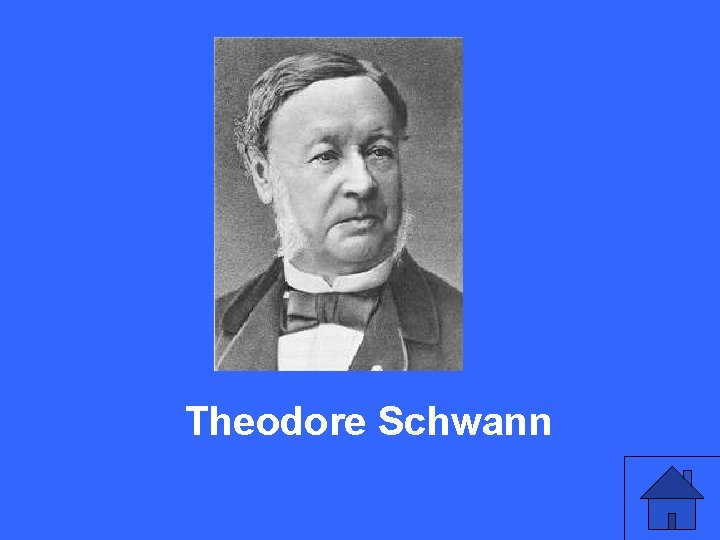 V 15 a Theodore Schwann 47 