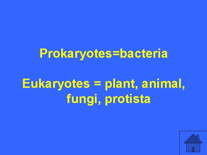 I 10 a Prokaryotes=bacteria Eukaryotes = plant, animal, fungi, protista 5 