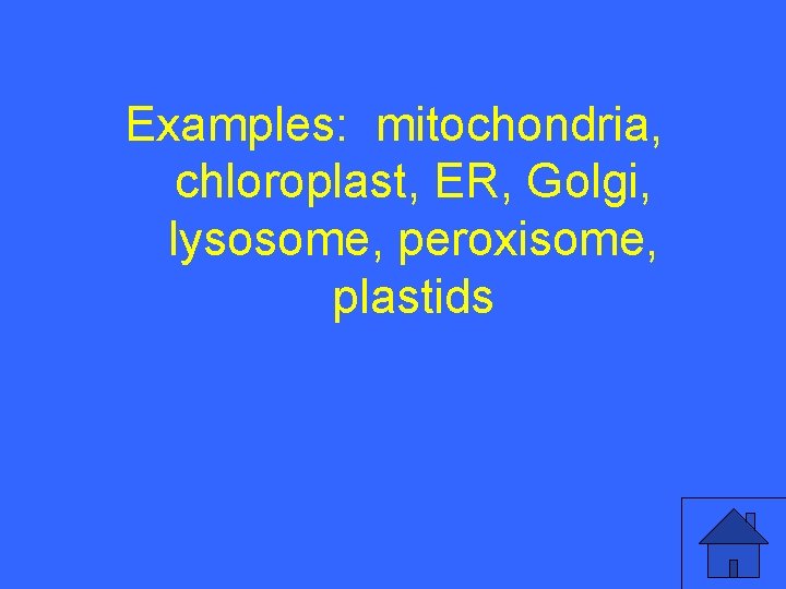 I 20 a Examples: mitochondria, chloroplast, ER, Golgi, lysosome, peroxisome, plastids 9 