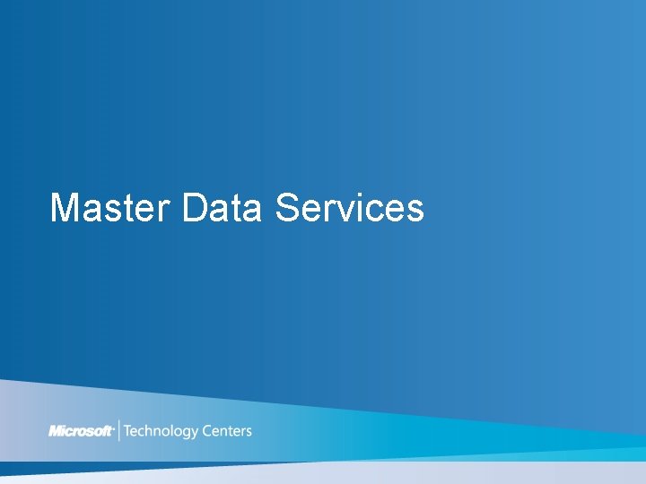 Master Data Services 