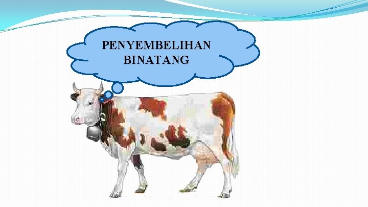 PENYEMBELIHAN BINATANG 