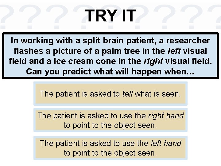 In working with a split brain patient, a researcher flashes a picture of a
