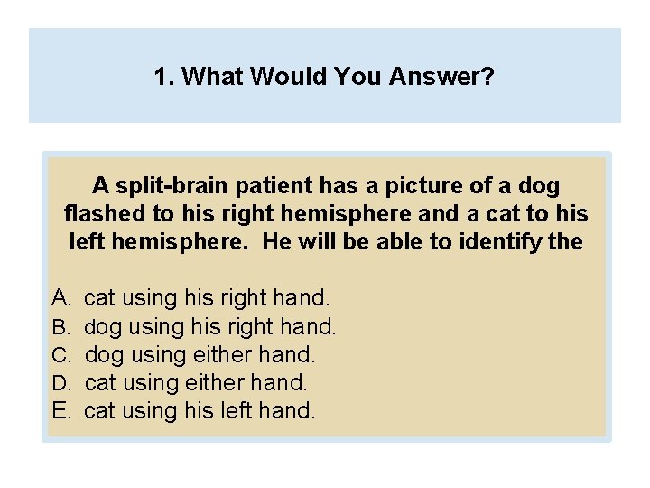 1. What Would You Answer? A split-brain patient has a picture of a dog