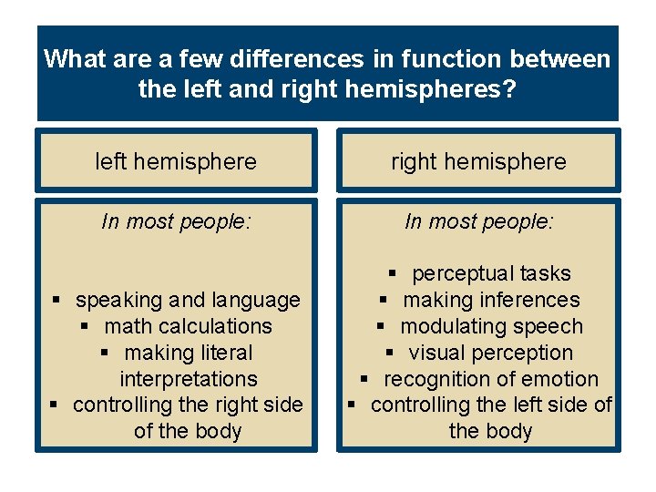 What are a few differences in function between the left and right hemispheres? left