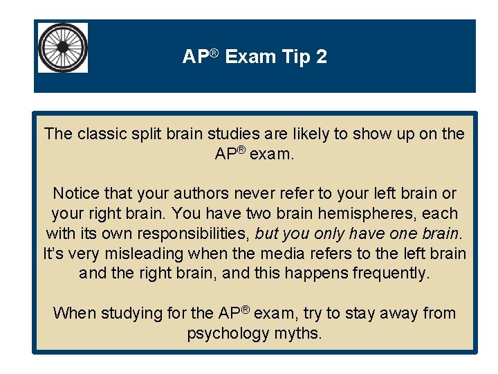 AP® Exam Tip 2 The classic split brain studies are likely to show up