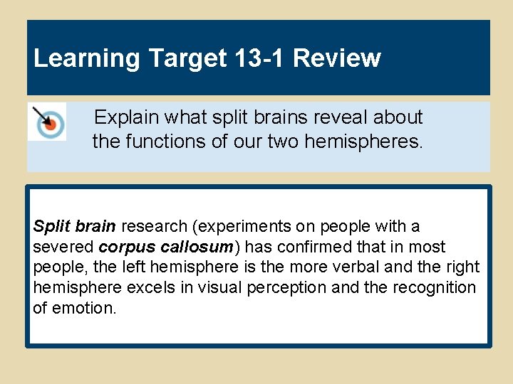 Learning Target 13 -1 Review Explain what split brains reveal about the functions of