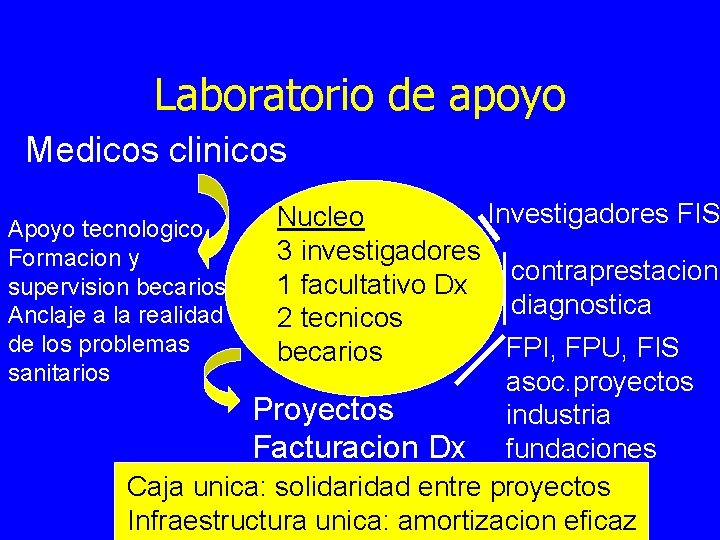Laboratorio de apoyo Medicos clinicos Investigadores FIS Nucleo Apoyo tecnologico 3 investigadores Formacion y