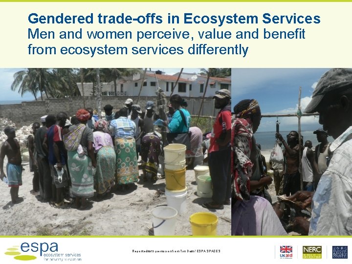 Gendered trade-offs in Ecosystem Services Men and women perceive, value and benefit from ecosystem