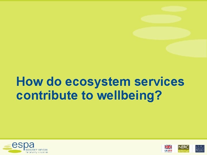 How do ecosystem services contribute to wellbeing? 