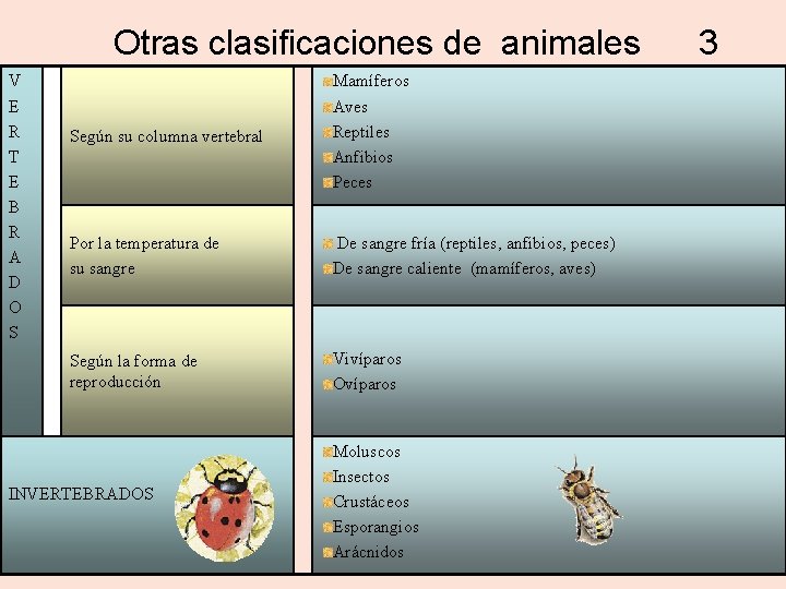 Otras clasificaciones de animales V E R T E B R A D O