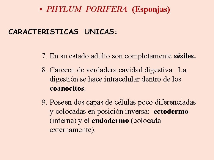  • PHYLUM PORIFERA (Esponjas) CARACTERISTICAS UNICAS: 7. En su estado adulto son completamente