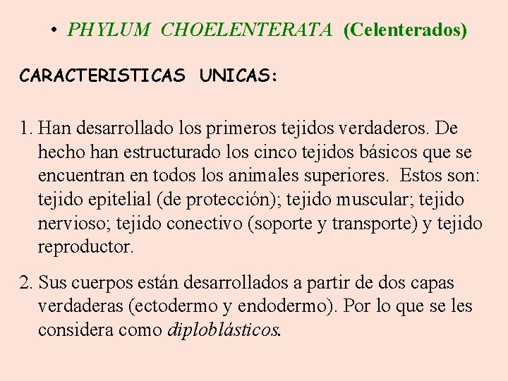  • PHYLUM CHOELENTERATA (Celenterados) CARACTERISTICAS UNICAS: 1. Han desarrollado los primeros tejidos verdaderos.