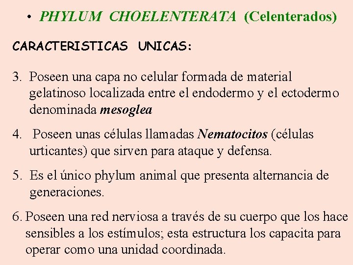  • PHYLUM CHOELENTERATA (Celenterados) CARACTERISTICAS UNICAS: 3. Poseen una capa no celular formada