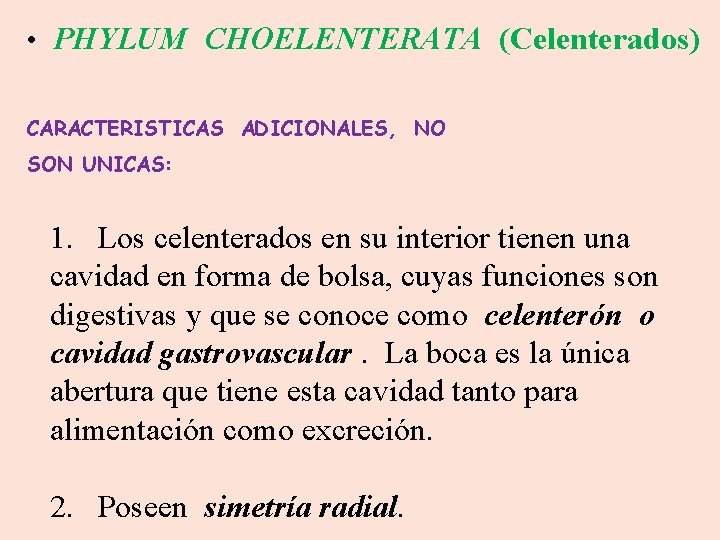  • PHYLUM CHOELENTERATA (Celenterados) CARACTERISTICAS ADICIONALES, NO SON UNICAS: 1. Los celenterados en