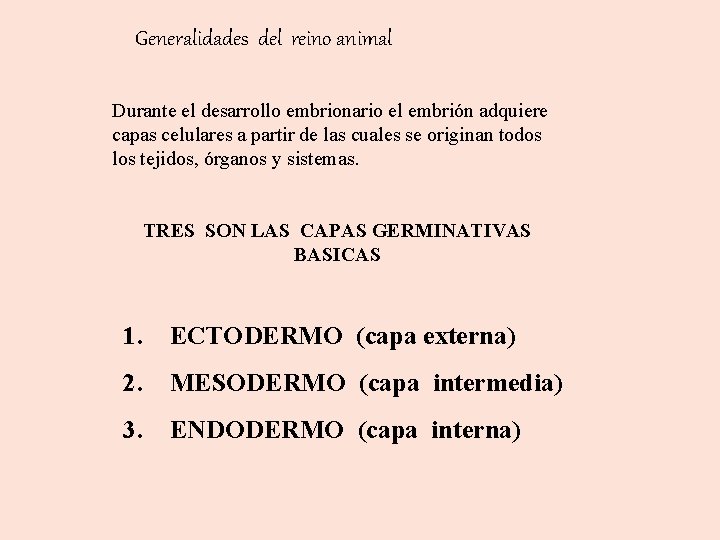 Generalidades del reino animal Durante el desarrollo embrionario el embrión adquiere capas celulares a