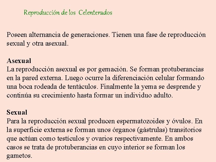 Reproducción de los Celenterados Poseen alternancia de generaciones. Tienen una fase de reproducción sexual